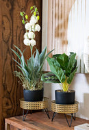 Porta Vasi Bossy Coppia Ø20,5x13 cm - Ø18x13 cm in Ferro Nero e Oro      
