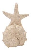 Decorazione Stella Marina Sand 18x13x21,2 cm in Resina Beige      