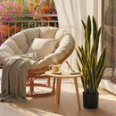 Sanseveria Artificiale in Vaso Ø20x90 cm da Esterno e Interno con 21 Foglie Modellabili      