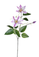 Set 4 Rami Artificiali di Clematis Composto da 2 Fiori Altezza 76 cm Bianco