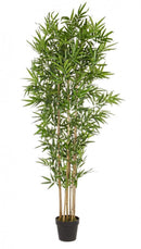 Set 2 Piante Artificiali di Bamboo 70x70x185 cm in Plastica con Vasi Verde