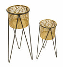 Porta Vasi Drak Coppia 21x20x46 cm - 18x18x32 cm in Ferro Nero e Oro      