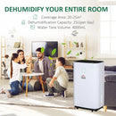 Deumidificatore d'Aria 20 Litri 395W 3 Modalità e 2 Velocità Bianco