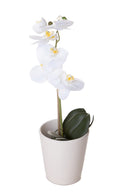 Set 3 Vasi Orchidea Ø 12x14 cm