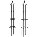 Set 2 Supporti per Piante Rampicanti Alti 170 cm in Acciaio Antiruggine Nero      