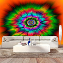 Fotomurale - Kaleidoscope Of Colours 300X210 cm Carta da Parato Erroi