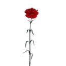 Set 12 Garofani Artificiali Singoli Altezza 63 cm Rosso