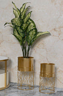 Porta Vasi Livi Coppia Ø23x43 cm - Ø20x36 cm in Ferro Oro      