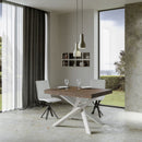 Tavolo Allungabile 140-244x90x77 cm Volantis Premium Noce Telaio Bianco 