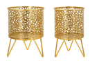 Porta Vasi Piny Coppia Ø16x20 cm - Ø13x20 cm in Ferro Oro      