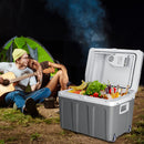 Frigorifero Elettrico 40L Portatile con Ruote Caldo-Freddo Spina 230V e 12V Grigio      