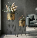Porta Vasi Drak Coppia 21x20x46 cm - 18x18x32 cm in Ferro Nero e Oro      