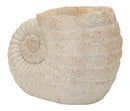 Vaso Shell Sand 33x19x23 cm in Mgo Beige      