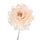 Set 12 Pick Peonia Ø11 cm Beige