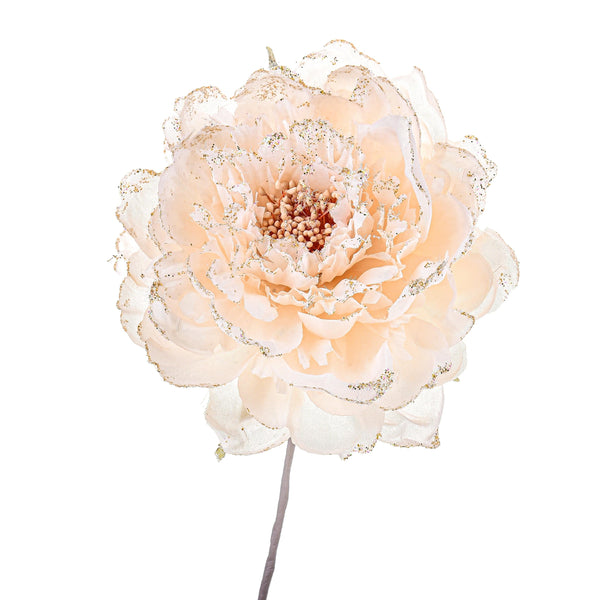 Set 12 Pick Peonia Ø11 cm Beige acquista