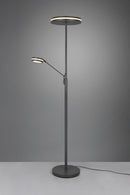 Piantana da Interno a LED SMD in Metallo Antracite