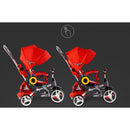 Triciclo per Bambini Passeggino Seggiolino Reversibile 6in1 Happy Kids Grigio