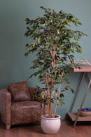 Ficus Artificiale con 1296 Foglie con Vaso Altezza 180 cm Verde