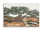 Dipinto su Tela Olivo 120x3,8x80 cm in Pino e Tela