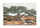 Dipinto su Tela Olivo 120x3,8x80 cm in Pino e Tela
