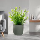 Vaso da Esterno Interno Design Cilindrico Ø35x34 cm Raffaello in Resina Verde 