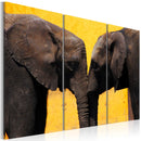 Quadro - Coppia di Elefanti Che Si Bacia 60X40Cm Erroi