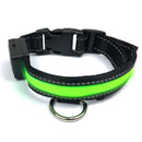 Collare luminoso a LED Taglia M per cani a ricarica solare e usb Rosso