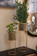 Porta Vasi Nat Coppia Ø17x46 cm - Ø14x34 cm in Ferro Oro      