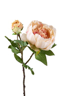 Set 6 Peonia Artificiale Romance con 3 Fiori Altezza 49 cm Beige