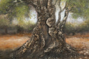 Dipinto su Tela Olivo 120x3,8x80 cm in Pino e Tela      