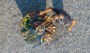 Barbecue a Legna Ø60x66 cm Azalea in Acciaio Nero Alta Temperatura
