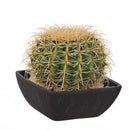 Pianta di Cactus Artificiale con Vaso 