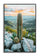 Stampa su Tela Laccata con Cornice Cactus 60x4x90 cm in Pino e Tela e Plastica