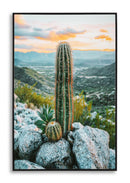 Stampa su Tela Laccata con Cornice Cactus 60x4x90 cm in Pino e Tela e Plastica      