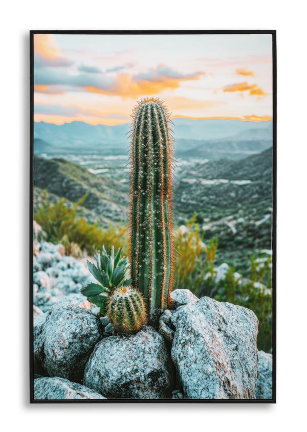 acquista Stampa su Tela Laccata con Cornice Cactus 60x4x90 cm in Pino e Tela e Plastica