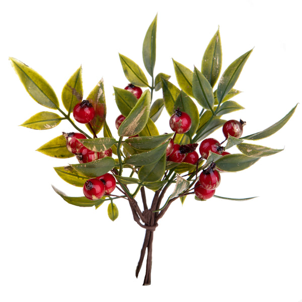 Set 12 Pick Ruscus 16 cm Rosso/Verde acquista