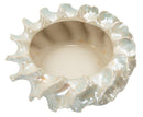 Cachepot Perly Ø43x16 cm in Ceramica Perla      