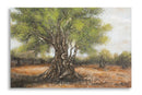 Dipinto su Tela Olivo 120x3,8x80 cm in Pino e Tela      