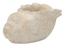 Vaso Shell Sand 35x23x18 cm in Mgo Beige      