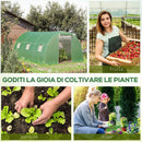Serra a Tunnel 450x300x200 cm Porta Avvolgibile e 6 Finestre Verde