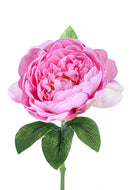 Set 12 Peonia Artificiale Altezza 35 cm Rosa