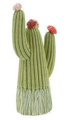 Cactus 10,5x6,5x20,5 cm in Resina Multicolor      