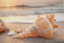 Stampa Dipinta su Tela Laccata Beach con Cornice 152x4x52 cm in Abete e Tela e Plastica      