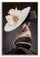 Dipinto su Tela Laccato Wien Hat con Cornice 62x4x92 cm in Metallo e Abete e Tela