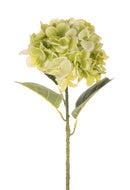 Set 4 Ortensia Artificiale Singola Altezza 57 cm Verde