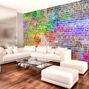 Fotomurale - Rainbow Wall 300X210 cm Carta da Parato Erroi