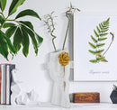 Vaso Face con Fiore 14x13x27 cm in Poliestere Bianco e Oro      