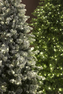 Albero di Natale Artificiale H230 cm Abete Nebraska 3170 Tips con 460 Led Verde