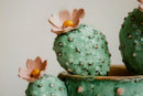 Stampa su Tela Laccata con Cornice Vasetto Cactus 40x2,8x40 cm in Pino e Tela e Plastica      