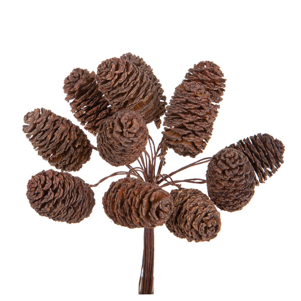acquista Set 24 Pick Mini Pigne Cedar 12 Pezzi H12 cm Natural